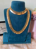 Microplating Gold Polish Lakshmi Coin Necklace (Available in Short, Long and Combo)