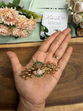 Peacock Style Hair Clip