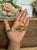 Peacock Style Hair Clip