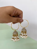 Pure Kemp Brass Loop Jhumkas in 2 colours